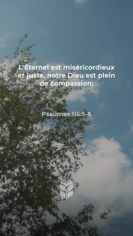 Psaumes 116:5-8 Miséricorde et compassion de Dieu #labible #BibleVision