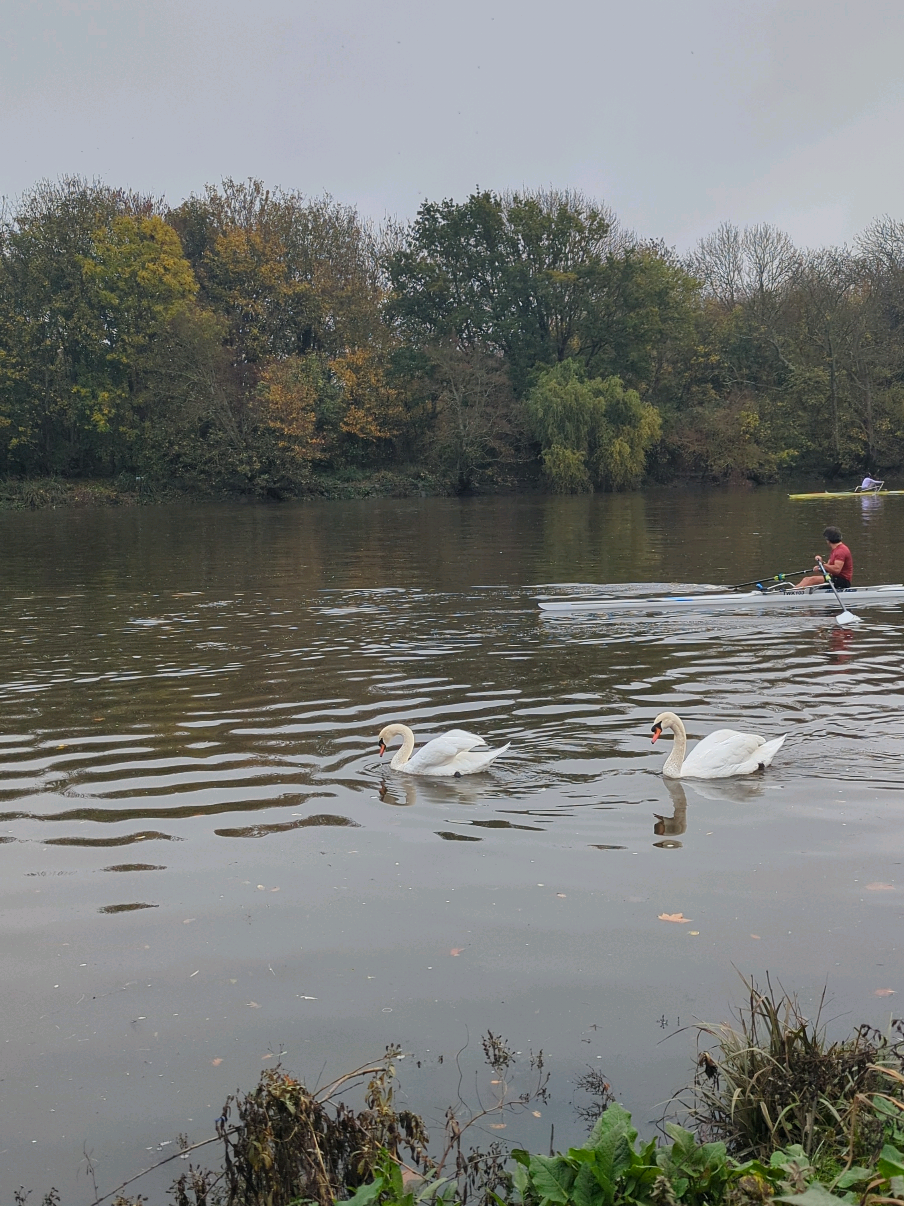 يسعد جميع اوقاتكم بكل الخير و سعاده 💋💕❤️‍🔥💞💓🌸🌺🌷 #اسعد_الله_جميع_اوقاتكم🌹🌹  #يسعدلي__اوقاتڪۘم 💋😘❤️💌 #يومكم_طيب 😚💗🥹🕳️🌞🎶 #الله_يسعدكم_ويسعد_جميع_اوقاتكم🌺 🌷🌹🥰🌸💓💞❤️‍🔥💕 #اكسبلور 🌟💫⭐✨💥🌼🔥