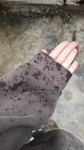 #kalar #bardasur #kurdistan #fyp #viralvideo 