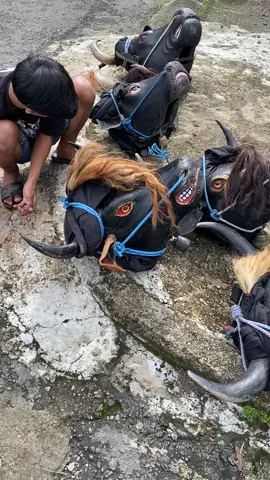 jumbo”🤘🏻😎#bantengtarunasejati #TARUNABOYS 