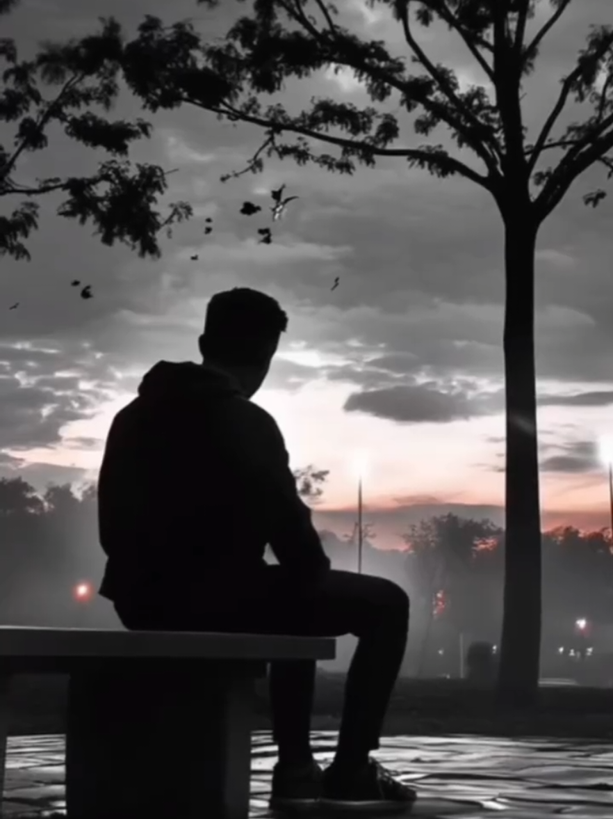 #Xuhuong  #mùađông  @TikTok 