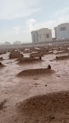 #امطاراليوم #امطار_المدينه_المنوره #الشتاء #المدينه_المنوره 