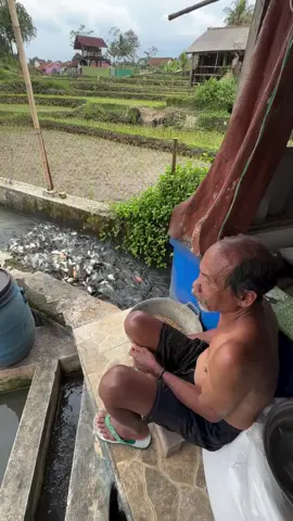 aduh bang genahen kie lagu sabari ninggali lauk #lagusunda 