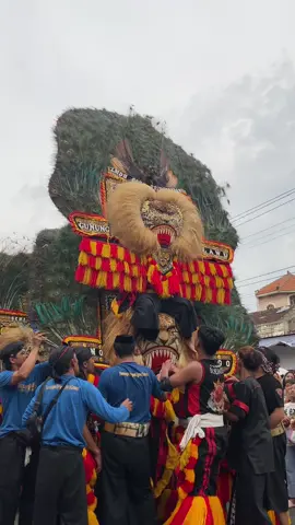 Singo tangmangu sak jos e #fyp #karanganyar24jam #reogponorogo #reog #karanganyar 