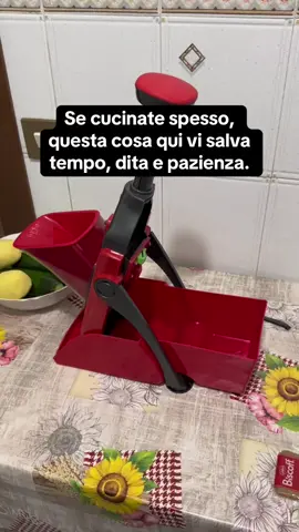 Se cucinate spesso, questa cosa qui vi salva tempo, dita e pazienza. #TikTokShopBlackFriday #UnboxYourDeals #spacchettaleofferte #tiktokshopitalia #mandolina 