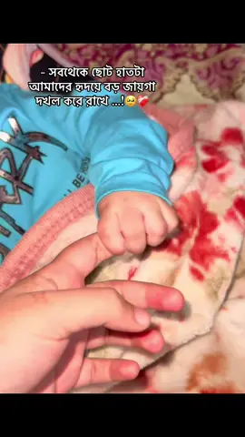 -কলিজা 🥹#saifan#jhumurislam016 