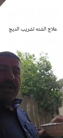 @حجي هادي الحساب الرسمي 