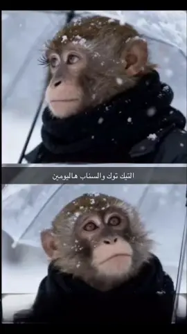 🌚ماقصد شي  . . . #الشعب_الصيني_ماله_حل😂😂 #ترند_الثلج #الشتاء 