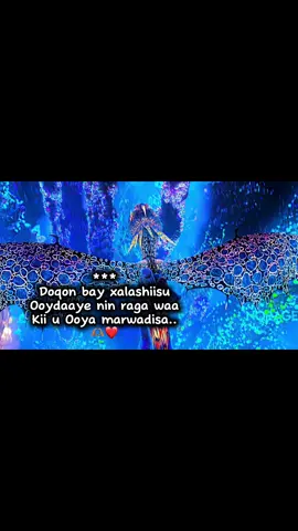 ❤️🫶🏽#fyp #fouryoupage #viralvideos #viewsproblem💔😔 #1m 