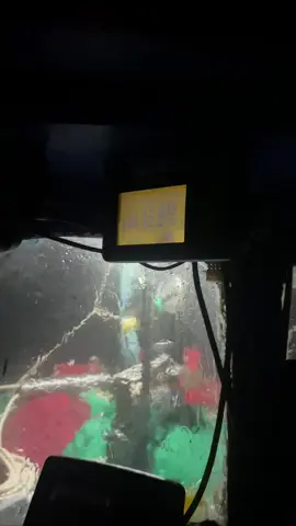 Tui khuyên mấy bạn nên hc đi#TikTokAwardsVN #xuhuong #đôthái747 #danbien85 