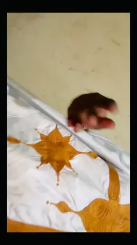 #ZO #🇧🇷🇧🇷🇧🇷🇧🇷🇧🇷🇧🇷❤️❤️❤️🇧🇷🇧🇷🇧🇷 #الموريتانيا🇲🇷🇲🇷🇲🇷🇲🇷🇲🇷🇲🇷🇲🇷🇲🇷🇲🇷🇲🇷🇲🇷🇲🇷🇲🇷🇲🇷💪💪💪💪💪💪💪💪💪 