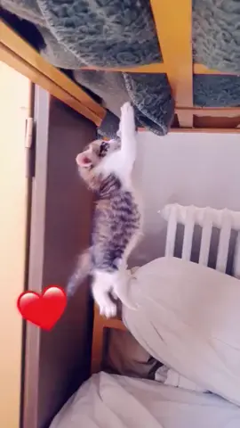 #أبوني_معاك_ياك_باطل_ولا_حنا_منستاهلوش🥺🥀 #تفاعلكم_يساعدنا_على_الاستمرار💯💯 