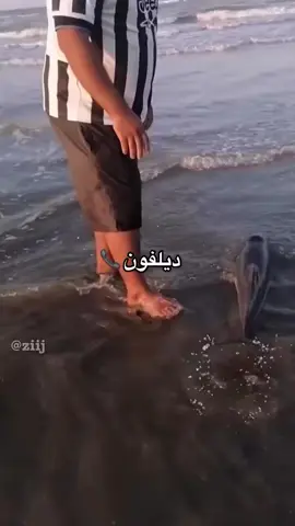 #اكسبلور #fyp 