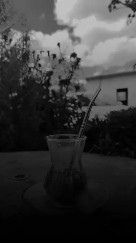 تعي يا حلوة لنشرب كاس متة🧉🍃 . .   . .   . .   #خضر_ابو_حمشو #الاسمر_الشيحاوي #رماح_السلطان #نعيم_الشيخ 