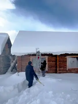 Happiness after an ice storm #asmr #ice #relax #snow #foryou