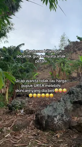 #trendingtiktok #foryoupage #fypシ #viral #anakpetani #bismillahfyp #viralsekarang #lagiviral #laguviral #bertani 