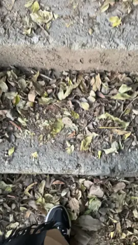 #farhanachowdhury #prayforme🙏 #فانی 