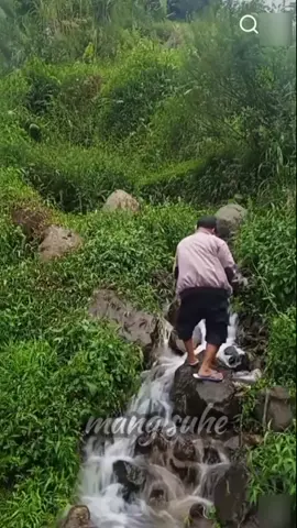 orang itu kaget tiba tiba muncul bus dari semak belukar