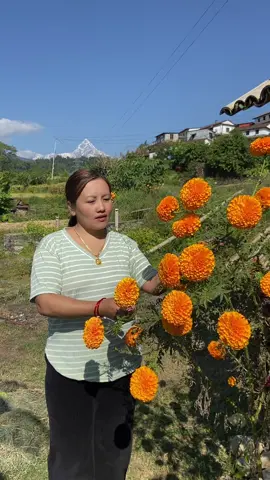 @sushilagurung7530 ❤️