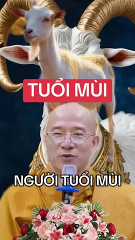 TUỔI MÙI #tuoimui #tamlinhphongthuy #viral #fyd #xuhuongtiktok 