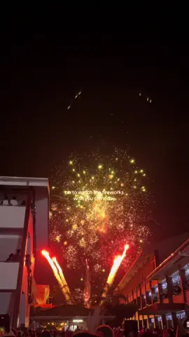 #fypシ #fireworks 