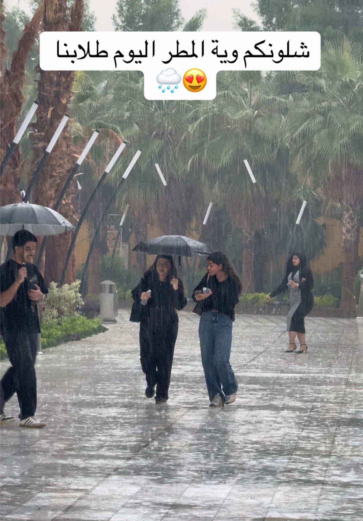 المطر وية التراث غير 😍🌧️ #جامعة_التراث #علي_العكيلي #جامعات #اكسبلور #explore 