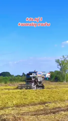 พอได้เดิน วันละนิดละหน่อย 🤫🤫🤫 #สจหมู่3 #ไม่รักดี #ซุ้มสจหมู่3 #บอยเจริญการช่าง #เทรนด์วันนี้tiktok @บอย เจรญการชาง  @SJ.M.3  @SJ.M.3  @SJ.M.3 