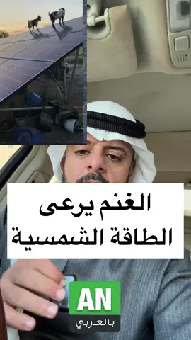 ⁨	غلطة الطاقة الشمسية حلتها الغنم 😱⁩