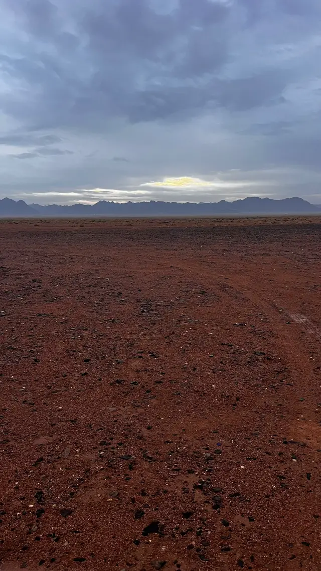 #امطارحايل#عطايا_الله🐪  #خالد_المذعور 