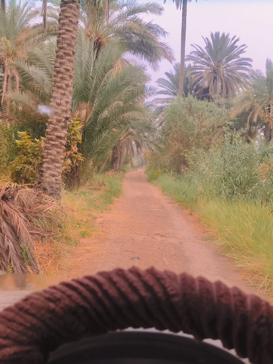 اجواء المطر في karbala✨🤍 #تصويري_احترافي_الاجواء👌🏻🕊😴 #ستوريات_انستا #ستوريات  #تصويري  #شعر_عراقي 