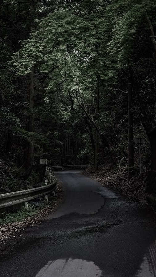 Người ta cứ nói#su15089x #sbtentertainmentt 