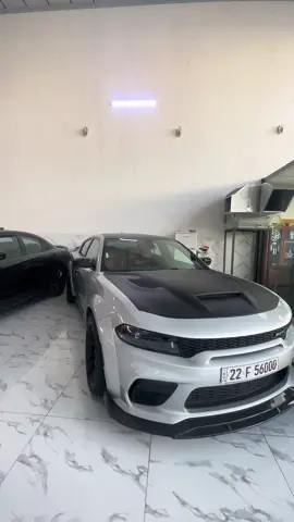 #dog #cars #v8 #viral #fyp 