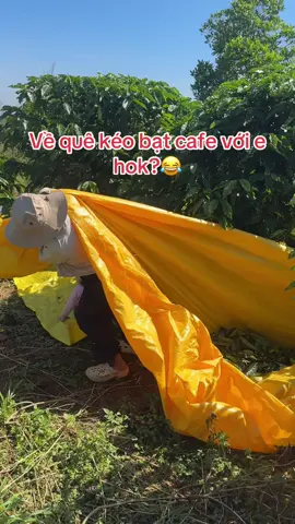 Rồi e kéo bạt hay bạt kéo e vậy?🤣🤣 #vairal #cafe#bophoveque #lamnong #taynguyen 