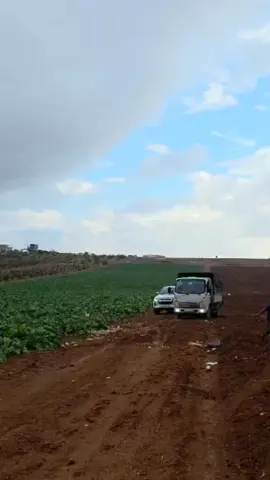 #البلوشي #جتوئي #ليك______🖤___متابعه____اكسبلووور #البلوشي309 #⚔️⚔️ @عمر حسن 💎 @ابو راشد جتوئي 