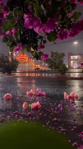 امطار حائل 🌧️  #حائل_تيك_توك #حائل_الاجمل #حائل_الان #حائل_بعد_حيي #امطار_حايل 