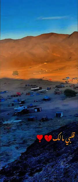 قلبي مالك #💔💔💔 #مشاهدات #الشعب_الصيني_ماله_حل😂😂 #💔 #جخو،الشغل،دا،يا،عالم،➕_❤_📝✌️🌍🦋 