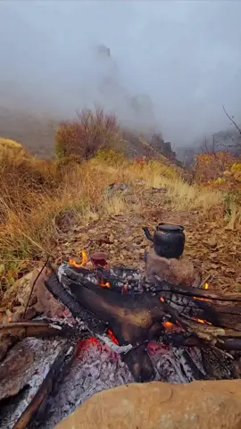 #سيريئ_شيلادزئ_دئرةلوك_ئاميديئ 🌧️🧡💦🍁🔥