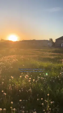 #лето #2025 #новыйгод #воспоминания #рекомендации 