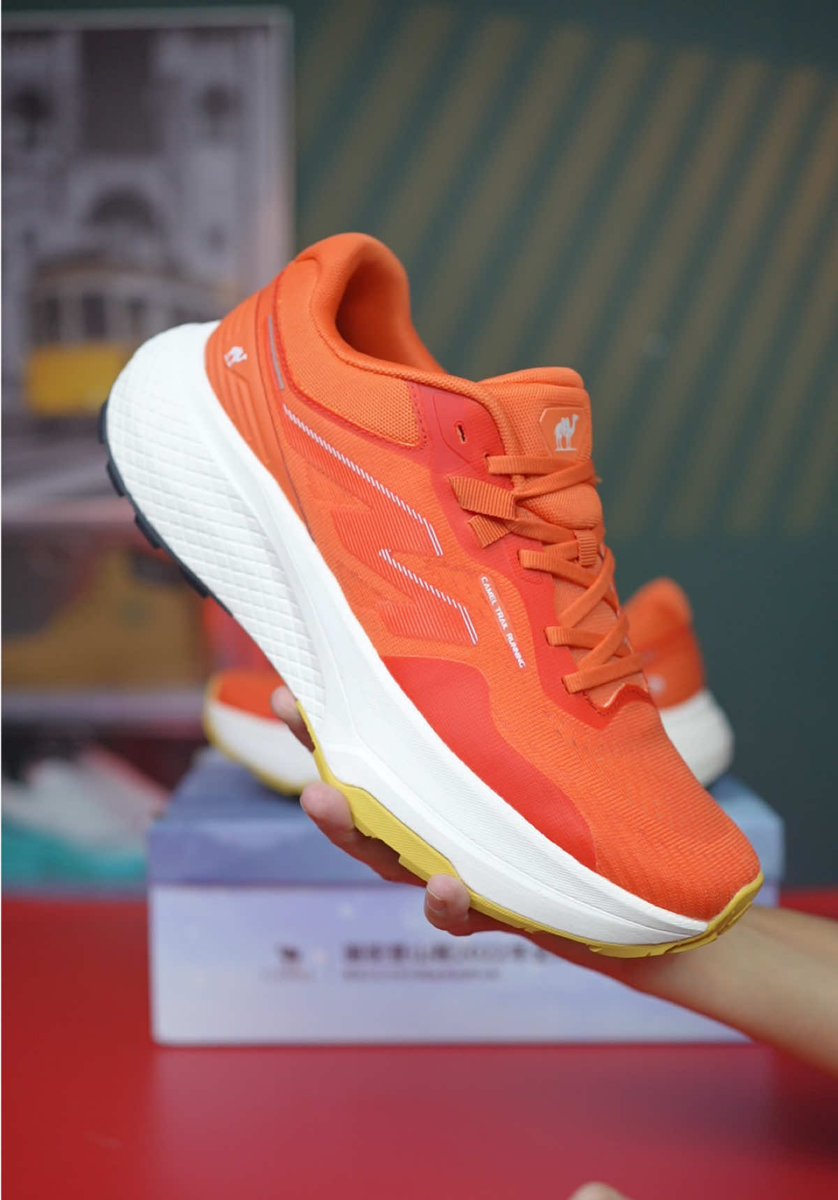 Giày chạy bộ, tập gym nam nữ hàng nội địa trung cao cấp Camel #lenabui #giaychaybo #giaytapgym #giaynoidiacaocap #giaycamel 