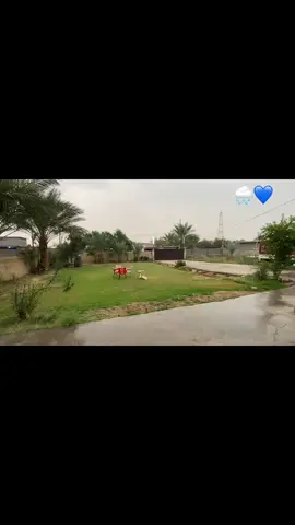 #مطر 🌧️ #تصويري_احترافي_الاجواء👌🏻🕊😴 #اللهم_صلي_على_نبينا_محمد #شعب_الصيني_ماله_حل😂😂 