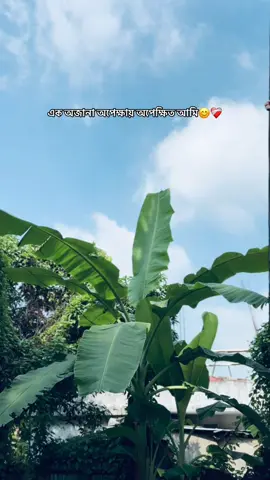 এক অজানা অপেক্ষায় অপেক্ষিত আমি😊❤️‍🩹 . . . #tiktok #1m 