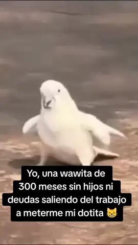 #xd #gaming #viral #dota2 