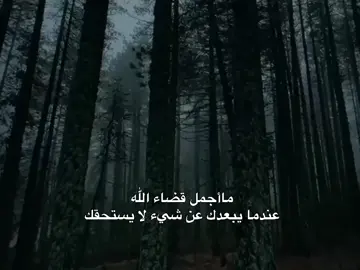 #اكسبلور_محضوره_من_مشاهدات #لا_تنسون_اعاده_نشره_للفيديو_ا_اكسبلور_محضوره_من_مشاهدات #متابعه_اكسبلور_فولو_لايك_تعليق_ #لايك_متابعه_اكسبلور_كومنت_اعاده__للفيديو #متابعه_اكسبلور_فولو_لايك_تعليق_ 