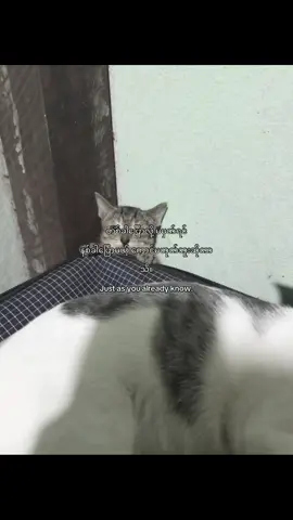 #Just as you already know.📌 #taytux4 #fouryoupage #1millionaudition #viwesproblem 