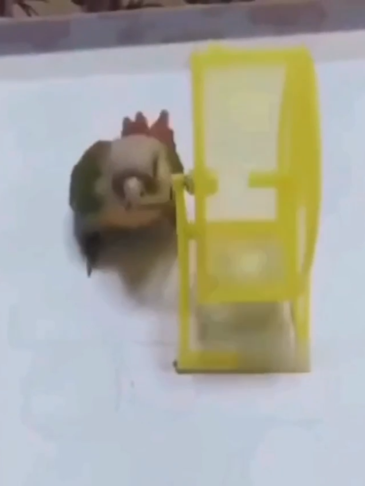 Помог другу с технологией и ускорил процесс.#доработалтехнологию