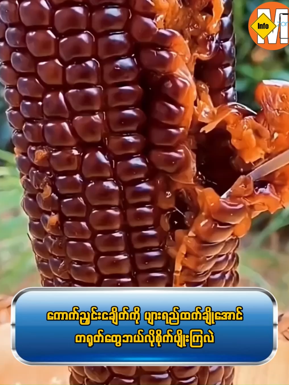 ကောက်ညှင်းငချိတ်ကို ပျားရည်ထက်ချိုအောင် တရုတ်တွေ ဘယ်လို စိုက်ပျိုးကြလဲ #myanmarinfozone#Entertainment #Knowledgesharing #fbreels #ဗဟသတ #ထးဆန်းထွေလာ