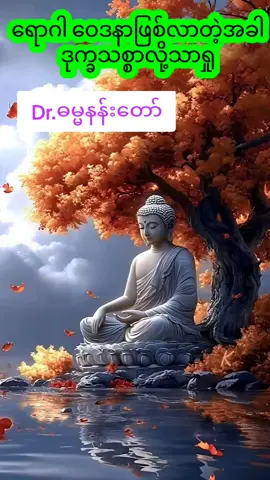 #မင်္ဂလာညချမ်းပါ #တစ်နေ့တာကိုအေးချမ်းစွာဖြတ်သန်းပြီးအနားယူနိုင်ကြပါစေ🍀🌹🍀🍂🌻🍂 