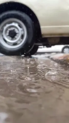 #CapCut #کەلاری_جوانم❤️🥹 #حسن_هیاس #کەلارەکەم #یارسانیم 