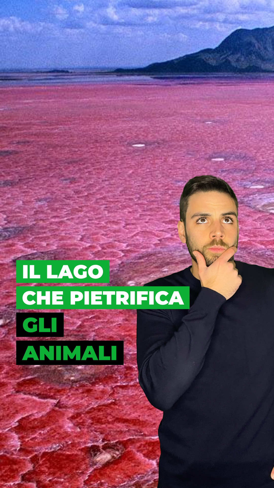 😱 Esiste un lago, il lago Natron, che è in grado di pietrificare gli animali. 🧪 Il Lago Natron è situato nella Tanzania settentrionale, in Africa, ed ha una particolarità a dir poco spaventosa: trasforma gli animali in vere e proprie statue. Il lago è ricchissimo di carbonato di sodio e di sali alcalini, composti che attivano la reazione chimica che rende possibile questo terrificante processo. 🤔 Ti racconta tutto nel dettaglio @Avventura Spaziale, in questo video.  #lagonatron #natron #geografia #natura #curiosità