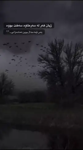 #foryou #fyp #fy #سلێمانی_هەولێر_کەرکوک_دهۆک #kurdistan 